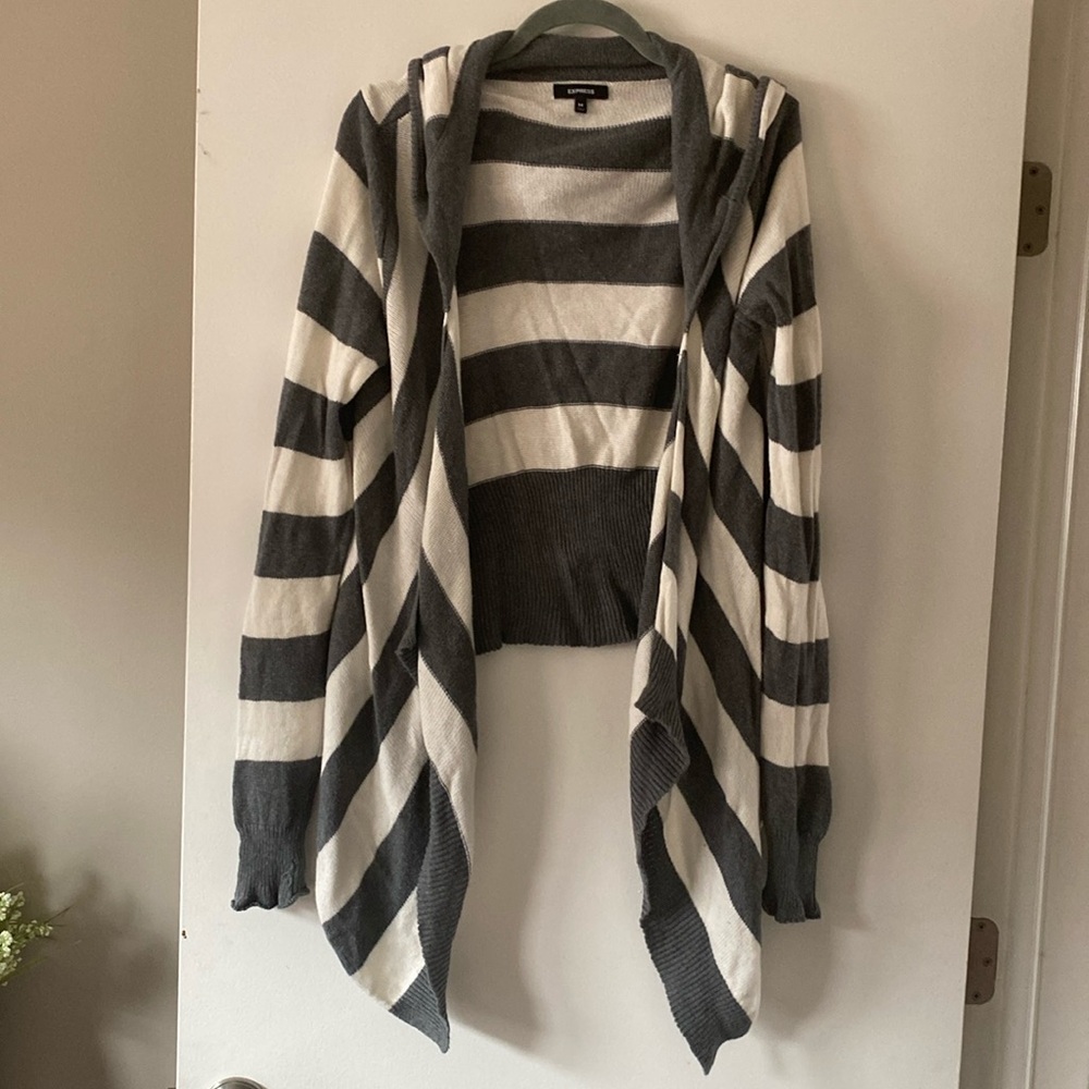 Express hooded sweater